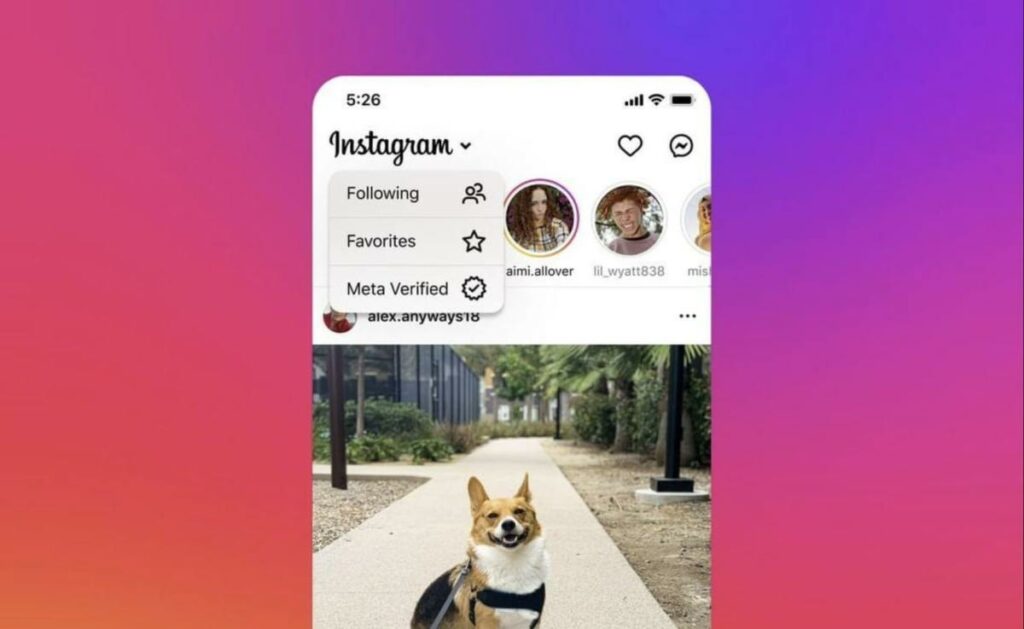 Instagram Is Experimenting With A Dedicated Feed Focused Solely On