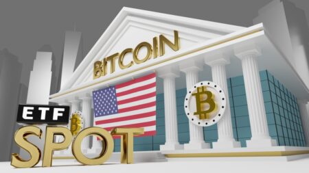 Bitcoin consolidates with increased profitability for long-term holders: Blockchain news, opinions, TV, and job opportunities Bitcoin Consolidates With Increased Profitability For Long Term Holders: Blockchain News,