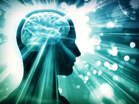 New Artificial Protein Developed By Scientists Can Enhance Memory