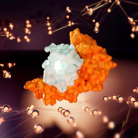 The Reasons Why Certain Individuals Do Not Exhibit Symptoms Of