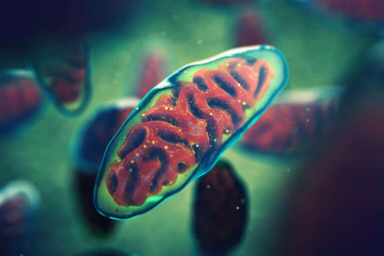 Vitamin B3 Shows Promise in Treating Chronic Inflammatory Pain Vitamin B3 Shows Promise In Treating Chronic Inflammatory Pain