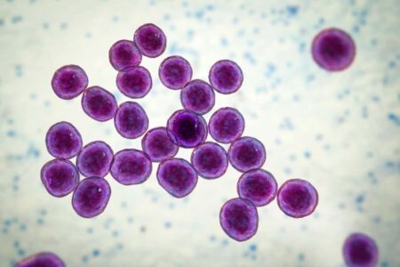 Artificial Intelligence Identifies Novel Antibiotics Effective Against Drug Resistant Bacteria