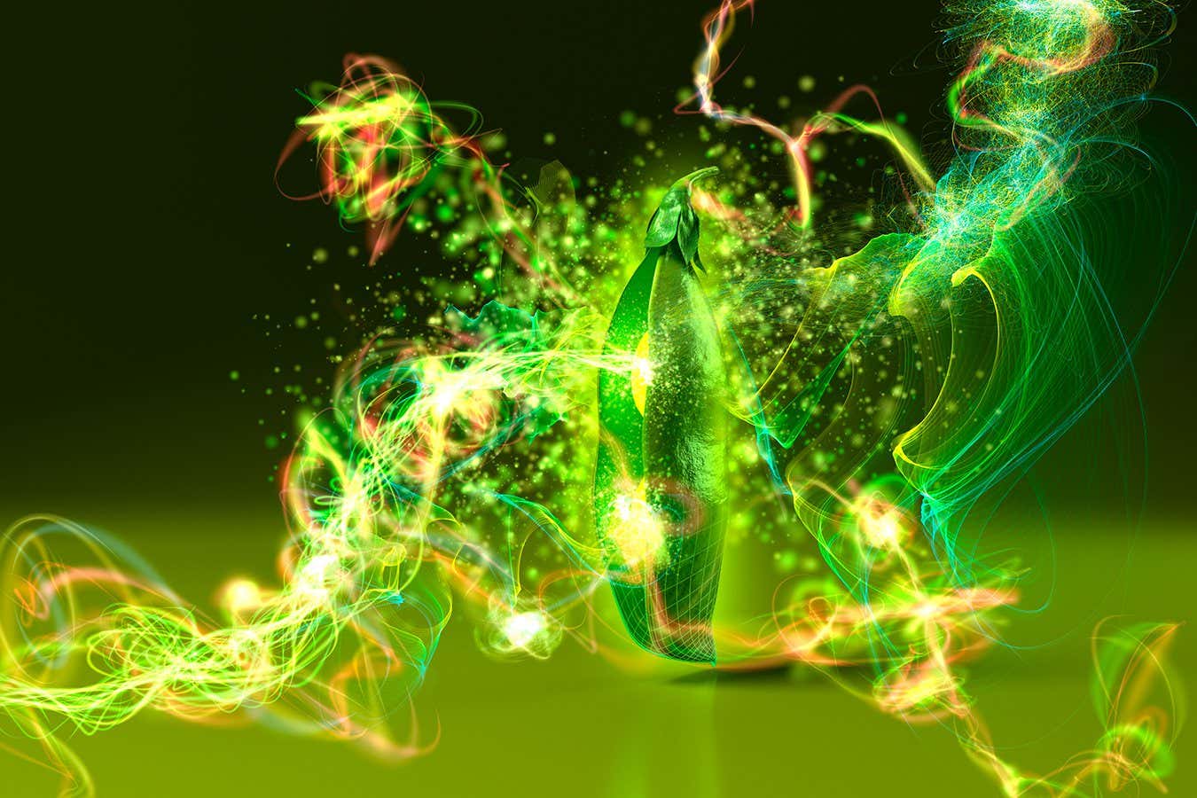 Can Lentils Transmit Secret Quantum Messages Through Biophotons?