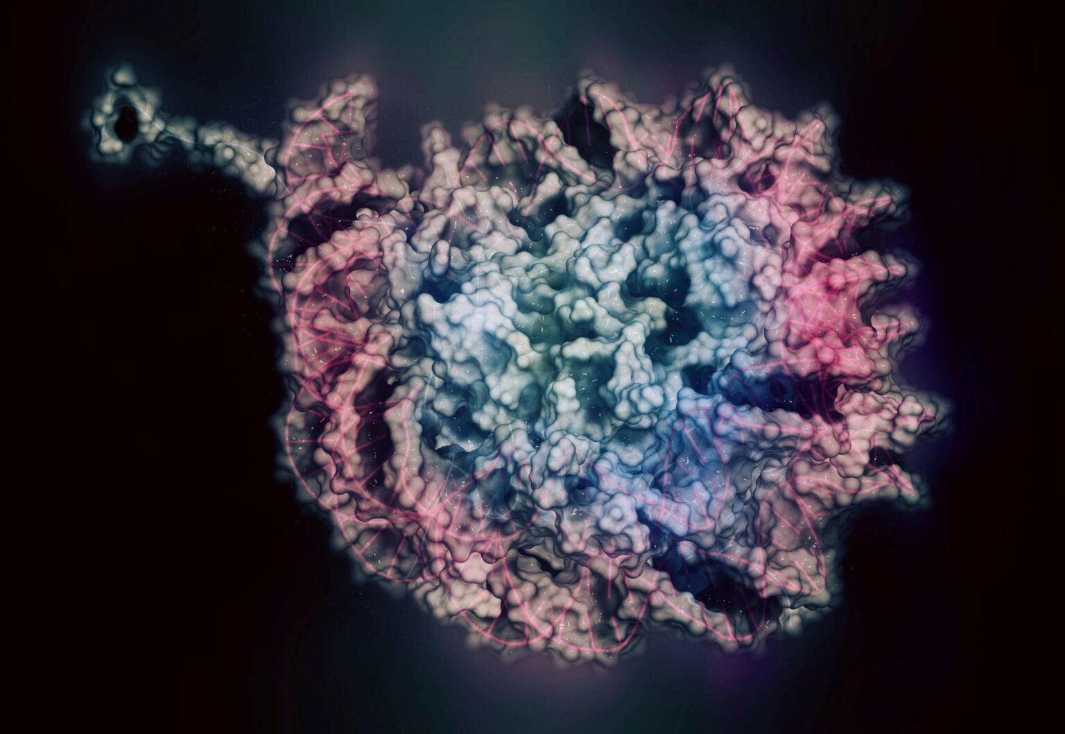 Common Household Products And Cosmetics Found To Impact Cell Epigenetics