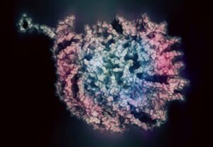 Common Household Products And Cosmetics Found To Impact Cell Epigenetics