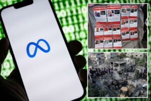 Mehta's Reversal Of The Decision To Remove Two Videos About