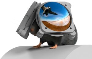 Miniature Vr Goggles Revolutionizing Brain Research