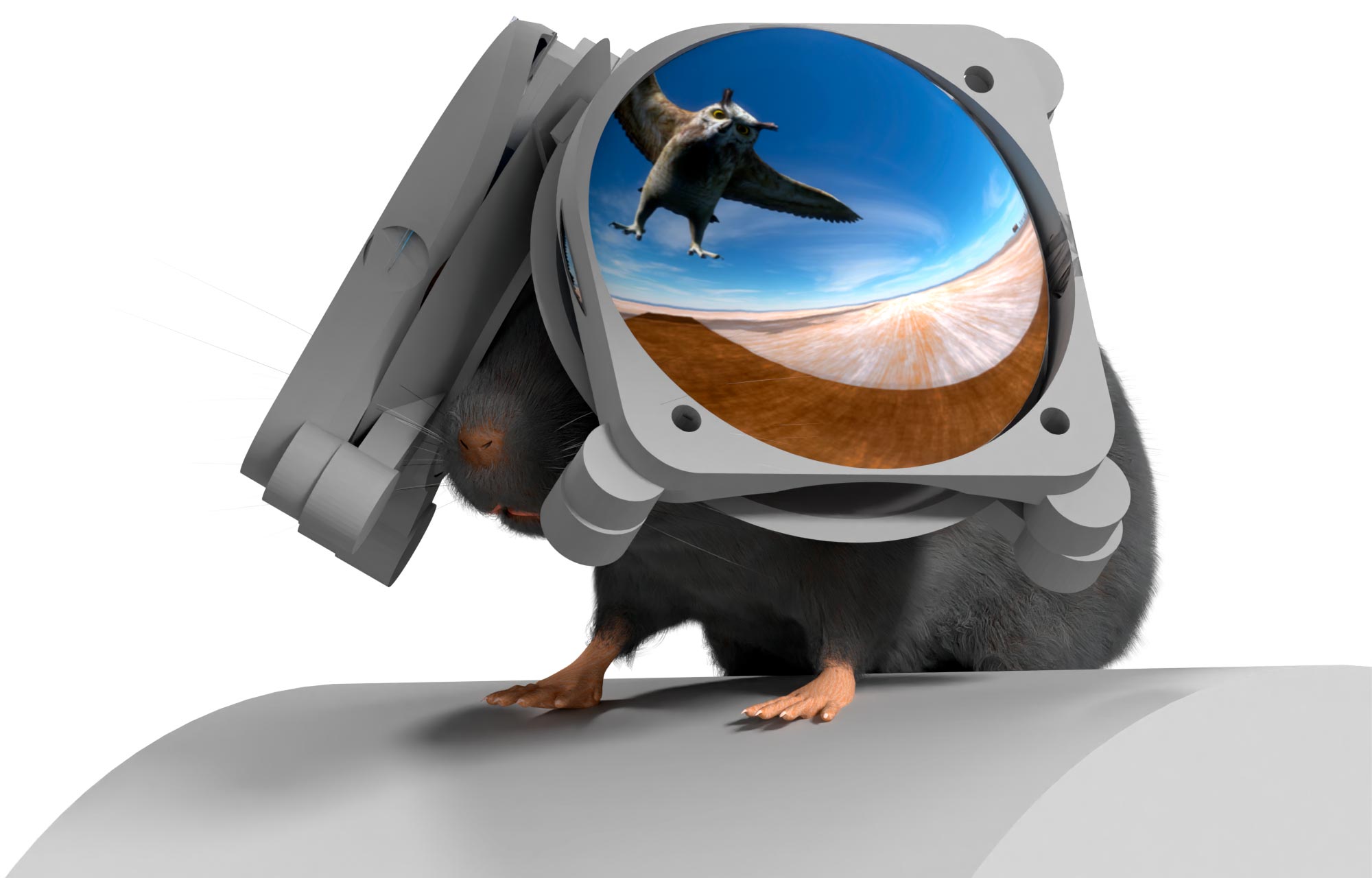 Miniature VR goggles revolutionizing brain research 1 Miniature Vr Goggles Revolutionizing Brain Research