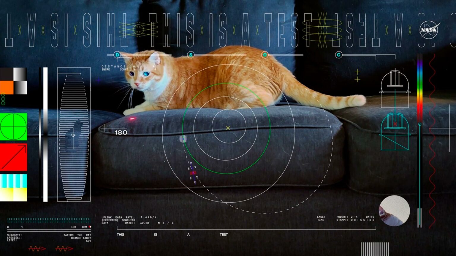 Nasa's Laser Technology Beams Ultra Hd Cat Video From 19 Million