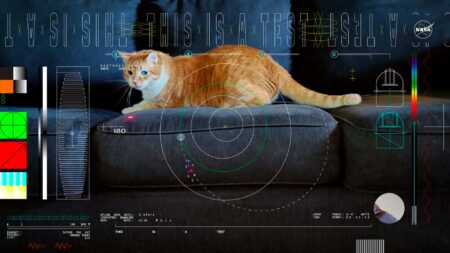 Nasa's Laser Technology Beams Ultra Hd Cat Video From 19 Million