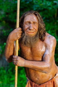 Neanderthals May Have Been Early Risers, New Study Finds