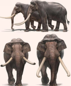 Neanderthals Were Prolific In Exploiting Straight Tusked Elephants, Say Archaeologists