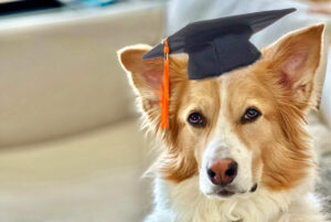 New Research Reveals Signs That Your Dog May Be A