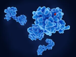 Nine New Indiebio Companies From New York To Pitch To