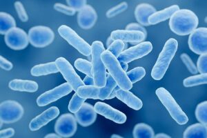 Probiotics Found Effective In Reducing Fatigue And Memory Loss Related