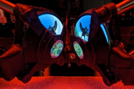 Researchers Develop Vr Goggles For Mice
