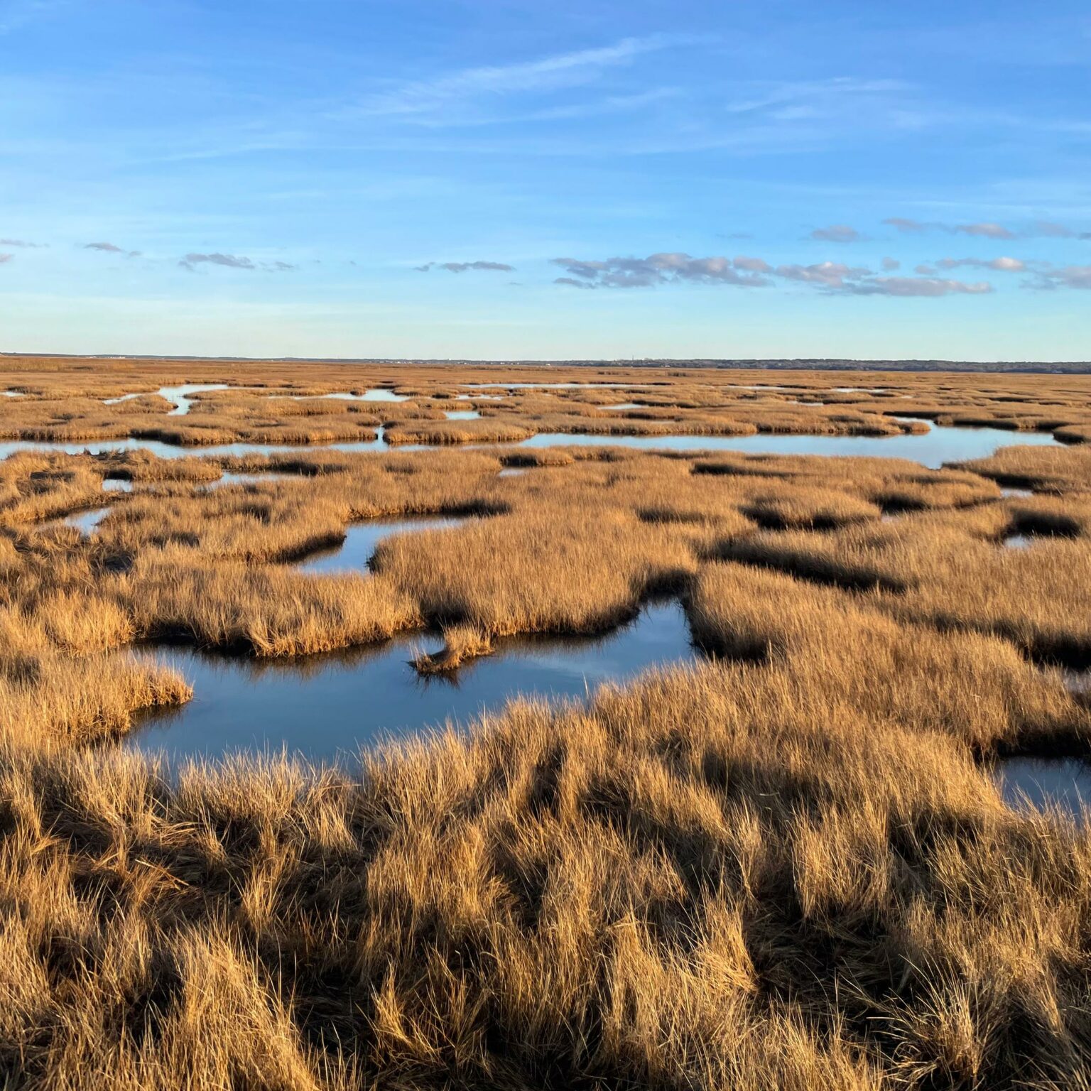 Rivers' Inability To Preserve Coastal Wetlands: A Problematic Situation