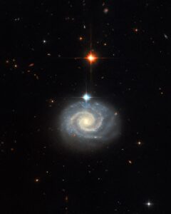 Spiral Galaxies Emitting "forbidden" Emissions