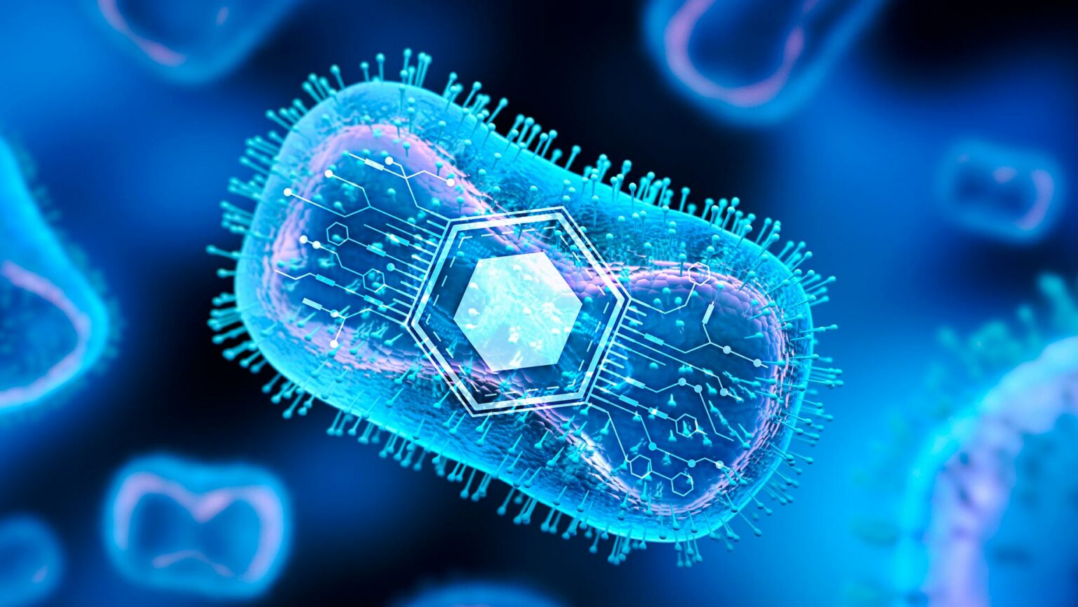The impact of programmable bacteria on cancer treatment The Impact Of Programmable Bacteria On Cancer Treatment