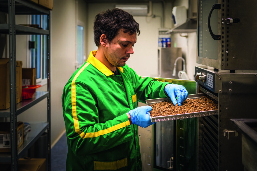 The Potential Of Insects As A New Protein Source For