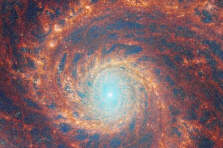 Top Science News Of 2023: New Scientist's Selections