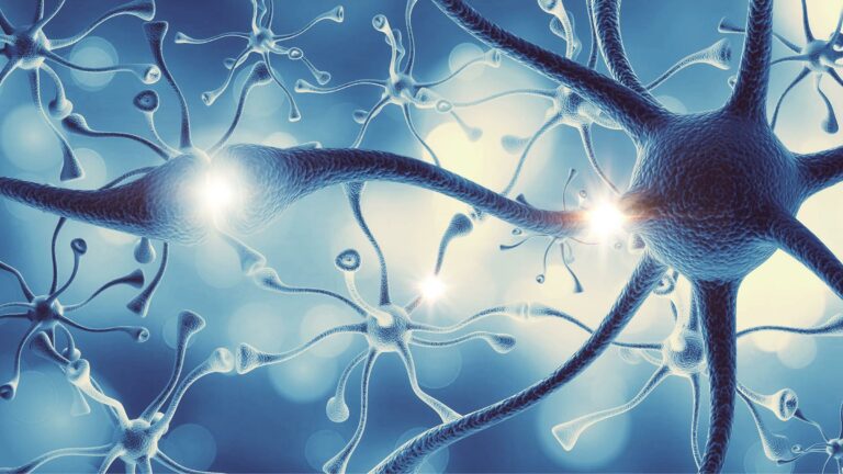 Unveiling the Structure of Neurotransmitter Transporters: Scientists Finally Answer 40-Year-Old Question Unveiling The Structure Of Neurotransmitter Transporters: Scientists Finally Answer 40 Year Old