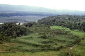 Archaeologists Uncover Ancient Urban Center System In The Ecuadorian Amazon