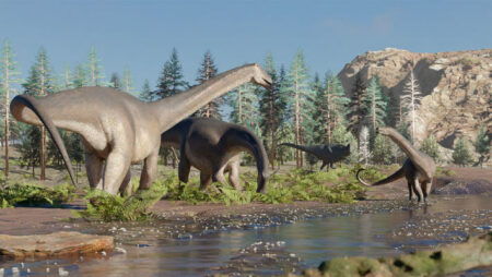 Argentina Unearths New Species Of Sauropod Dinosaur