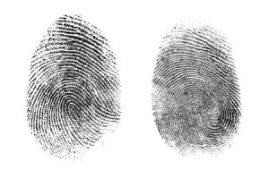 Artificial Intelligence Can Identify If Fingerprints From Two Different Fingers
