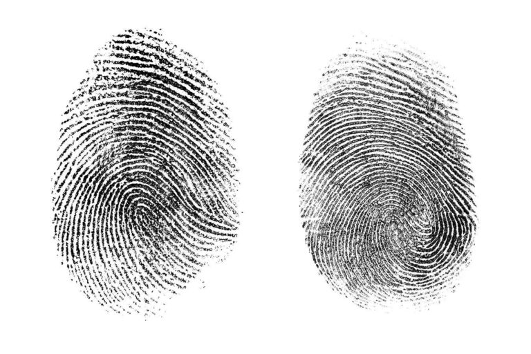 Artificial Intelligence Can Identify If Fingerprints From Two Different Fingers