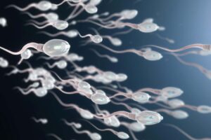 Causes Of Decreased Sperm Count In Men And Solutions For