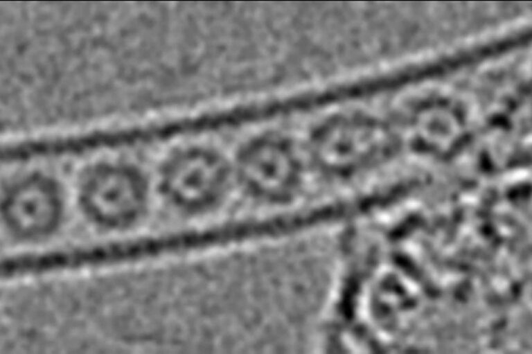 Confining Atoms in a Small Tube Creates a Strange “Primary Gas” Confining Atoms In A Small Tube Creates A Strange "primary