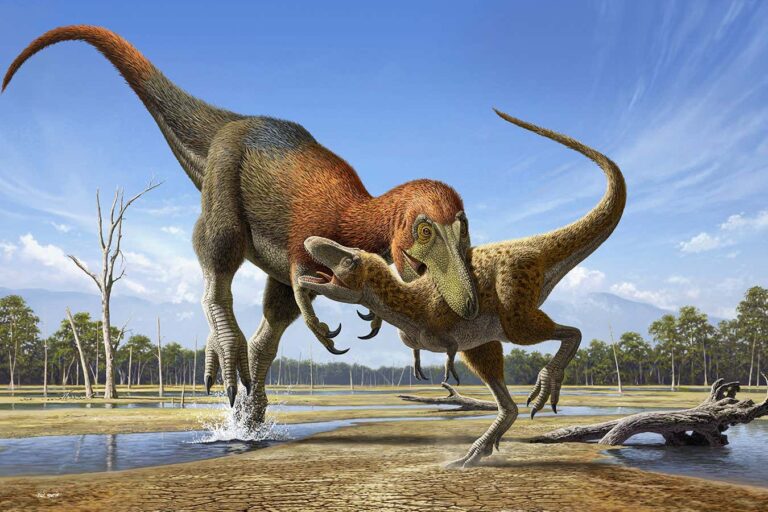 Controversy Surrounds Identification Of Tiny Tyrannosaur Fossil As Potentially Another