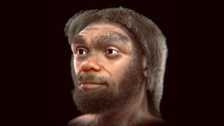 Homo Longhi's Facial Reconstruction
