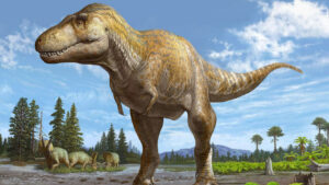 Huge New Tyrannosaurus Rex Found In New Mexico