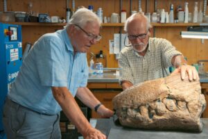 New Discovery: Giant Pliosaur Skull Illuminates Ancient Sea Reptiles
