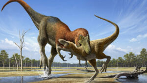 Paleontologists Identify Nanotyrannus As A Distinct And Small Tyrannosaurus Species