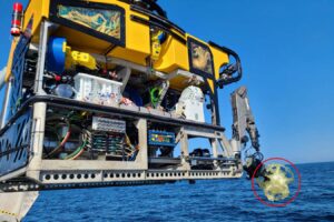 Robot Explores Deep Sea To Discover New Species With Dodecahedral