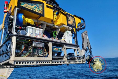 Robot Explores Deep Sea To Discover New Species With Dodecahedral