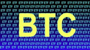 Sec Approval Of Spot Bitcoin Etf Leads To Increased Volatility