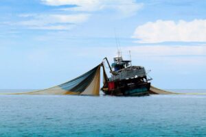 Seabed Trawling Is A Significant Contributor To Global Co2 Emissions