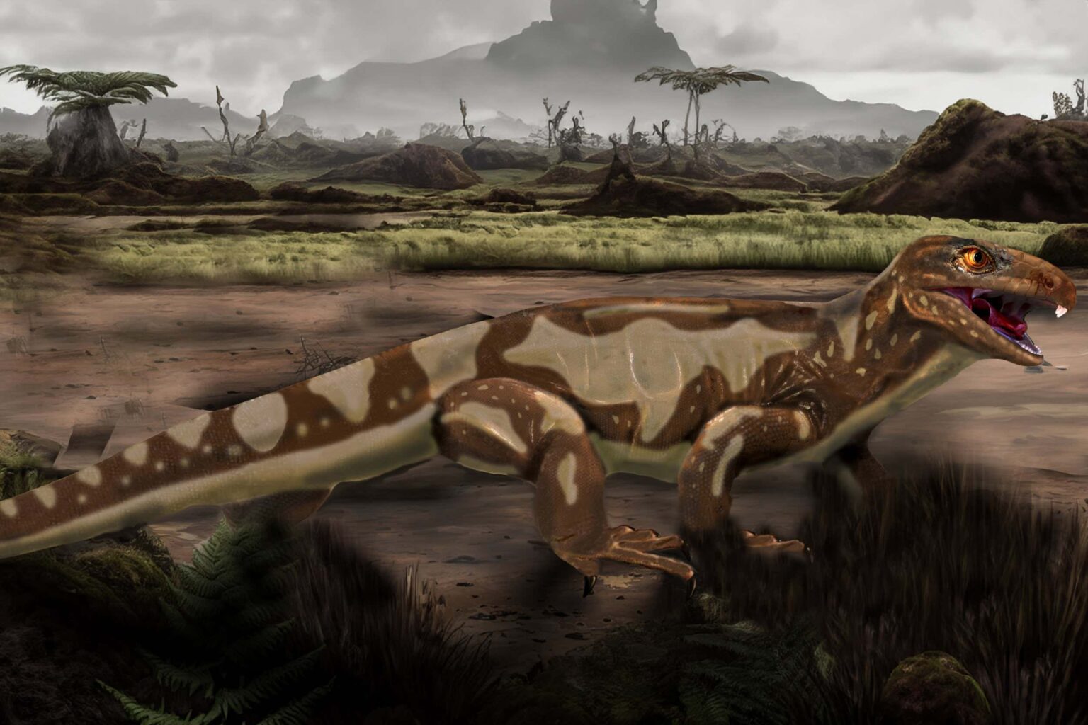 Skin Fossil from 300-Million-Year-Old Reptile is the Oldest Known Skin Fossil From 300 Million Year Old Reptile Is The Oldest Known