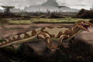 Skin Fossil From 300 Million Year Old Reptile Is The Oldest Known