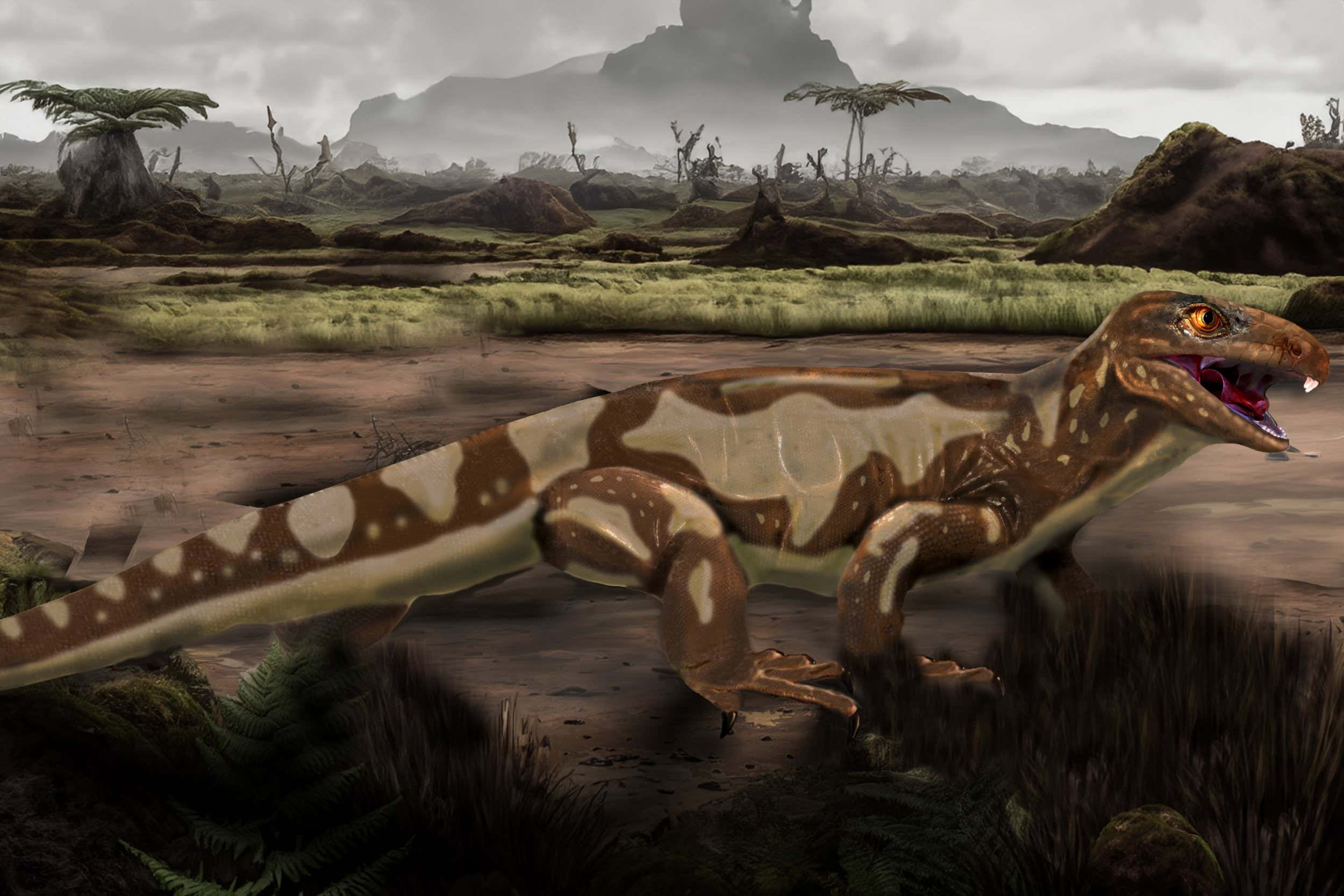 Skin Fossil From 300 Million Year Old Reptile Is The Oldest Known