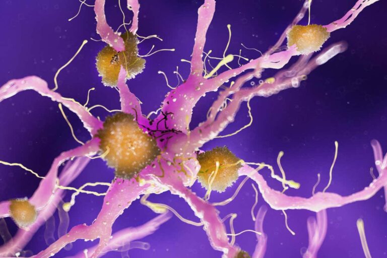 Slowing Aging And Preventing Dementia Through Restoration Of Brain Mitochondria