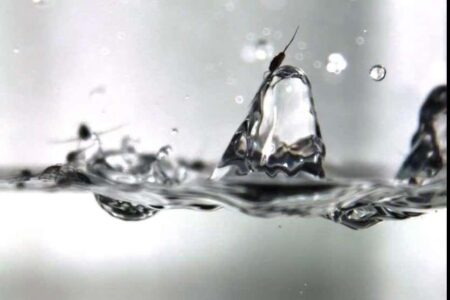 The Amazing Way Insects Survive Raindrops: A Stunning Slow Motion Video