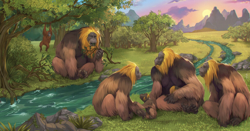 The Extinction Of The World's Largest Ape: A Result Of