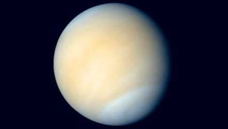 The Enigmatic Ultraviolet Absorber Found In Venus' Clouds May Be