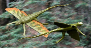 The Prehistoric Gliding Reptile Of Britain.