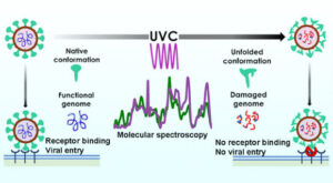 Uv Light Found To Inactivate Coronavirus Particles, New Study Shows